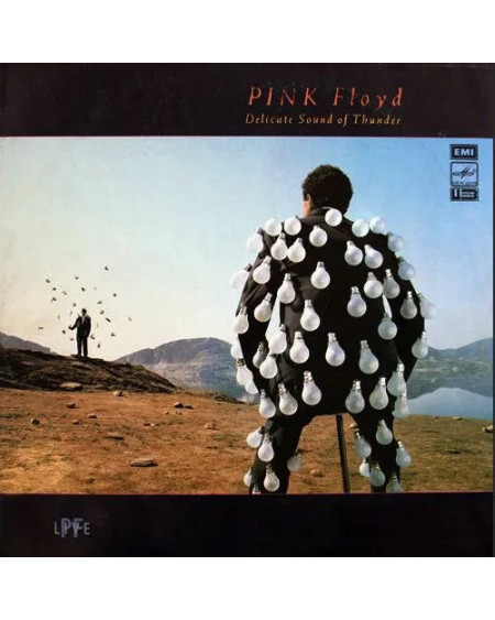 Pink Floyd - Delicate Sound Of Thunder (PF Live) (LP)
