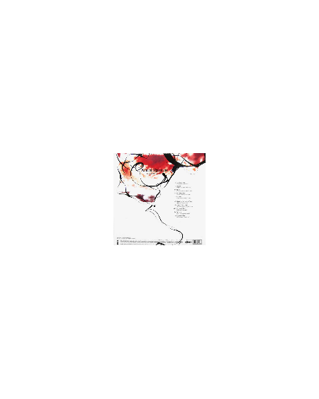 Агата Кристи - Два Кораblya (Remixed 2 By Eclectica)  (LP)